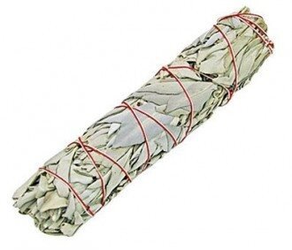 Sauge blanche 22 cm