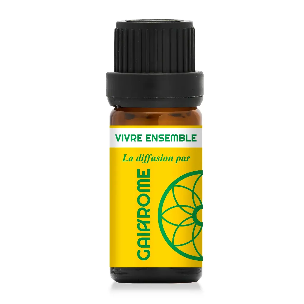 Vivre Ensemble - Synergie à diffuser (10ml)